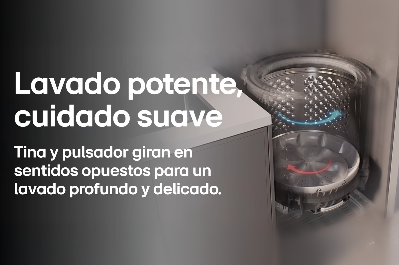 Vista frontal tapa levantada Lavadora Carga Superior LG WT19MVTB